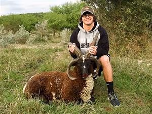 Epic highway adventures