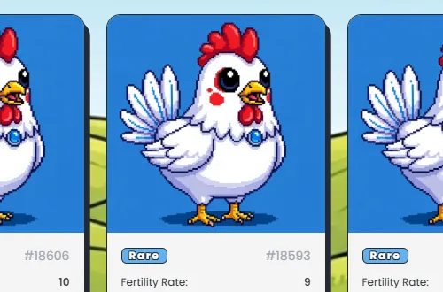Rare chickens