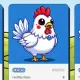 Rare chickens