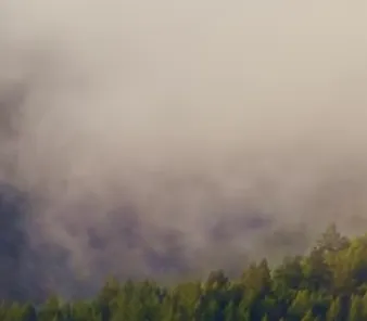 Just another friendship