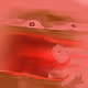 123