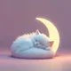 Moon Cat Sleep