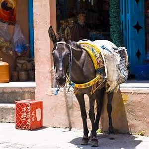 Empowering women worldwide