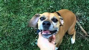 Alpine cabin escapes