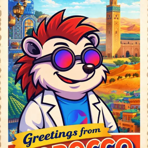 Greetings from Morocco 