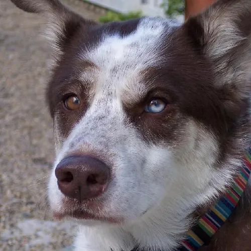 Clean energy innovations