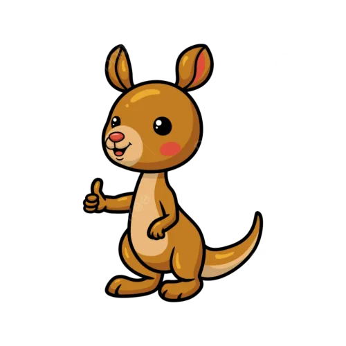 BABY KANGARO