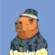 CAPY