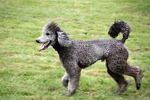 Epic fantasy journey