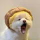 TGFVCUYFVU