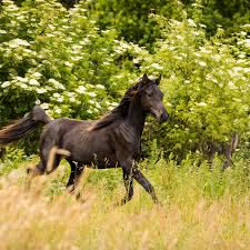 Rock climbing challenges