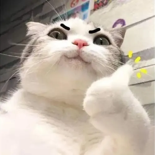 MEOMEO