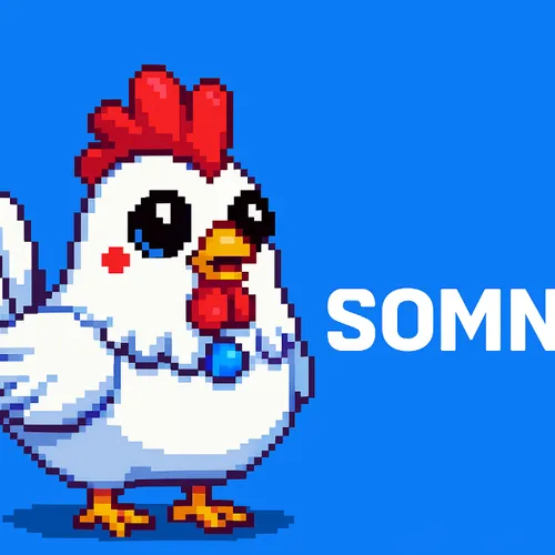 Builder Chickens