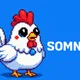 Builder Chickens