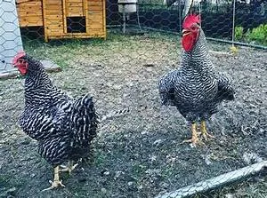 Lost empires unraveling