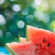 WaterMellon