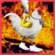 chikenfire