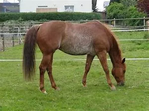 Aspirations pursuit journey