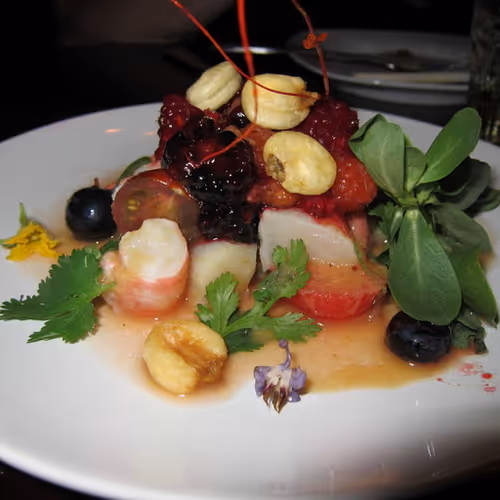 Antarctic polar expeditions