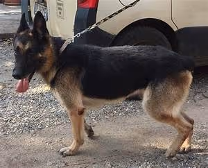 Writing retreat inspirations