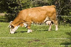 Breaking societal barriers