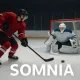hockeyPlayer