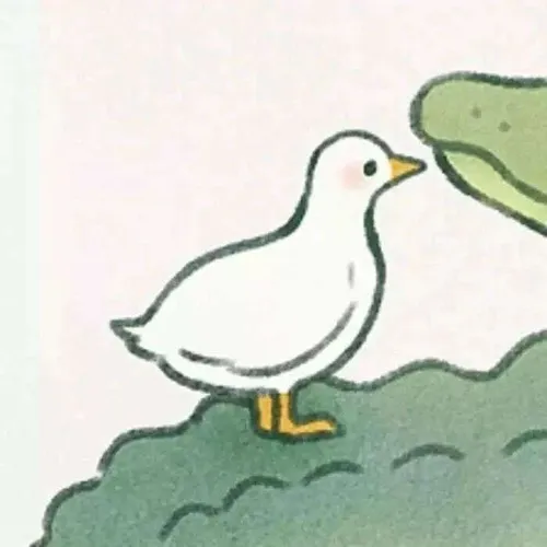 duck