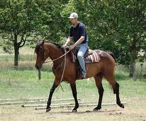 Sailing across oceans