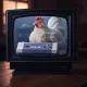SomniaOneChicken