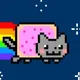 Rainbow Cat