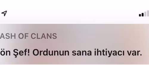 Ccgfchjj