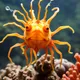 Neuro