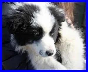 Amazon rainforest exploration