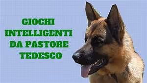 Egyptian pharaohs legacy