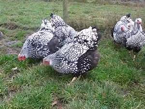 Ancient civilizations mysteries