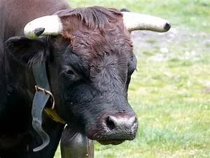 Financial literacy workshops