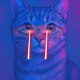 cat 2