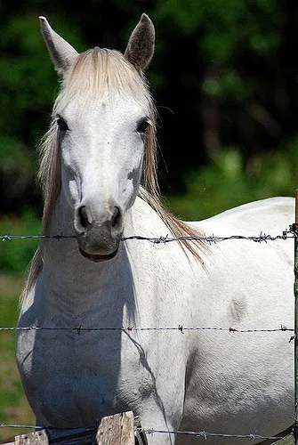 Innovative learning approaches