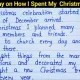 ny holiday chrismas