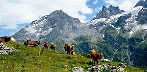 Great wall expeditions