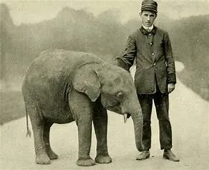 Subterranean adventures