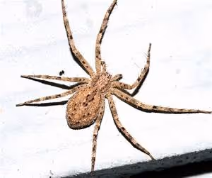 Creative expression exploration