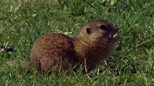 Oceanic wonders discovery