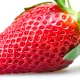 mytestnft10