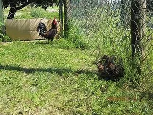 Summiting majestic peaks