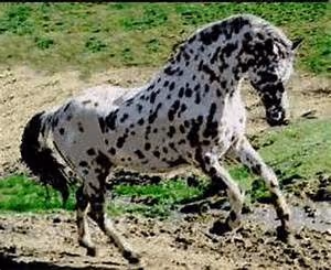 Digital nomad lifestyle