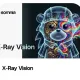 rayvision