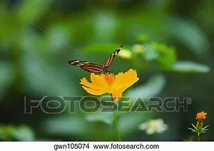 Artistic expression workshops