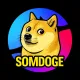 SOMNIA DOGE 