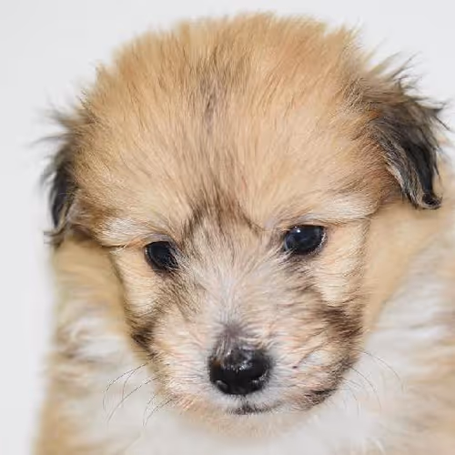 Floating above scenic vistas